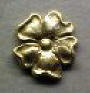 medium rosette