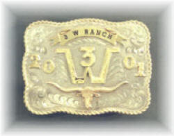  personalized 3W brand belt buckle 