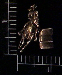 Rodeo Motif