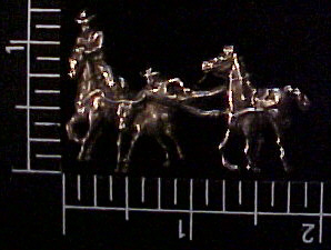 Rodeo Motif