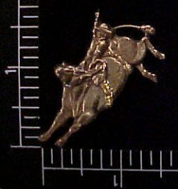 Rodeo Motif