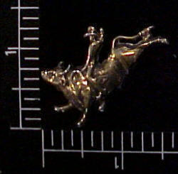 Rodeo Motif
