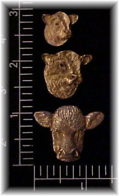 Steer  Head Motif