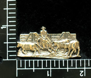 Rodeo Motif